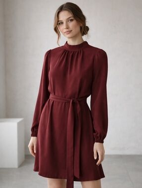 Fensace II Burgundy Tie Waist Dress | Long Sleeve Mock Neck | Elegant Minimalist